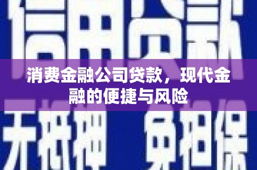 源城消费金融公司贷款，现代金融的便捷与风险