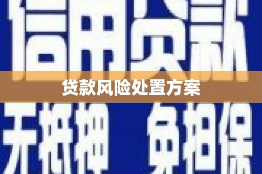 源城贷款风险处置方案