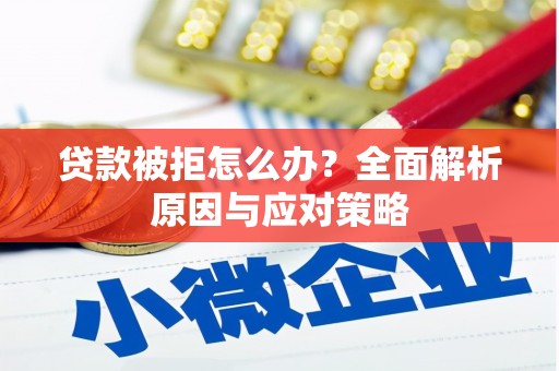 源城贷款被拒怎么办？全面解析原因与应对策略