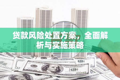 源城贷款风险处置方案，全面解析与实施策略